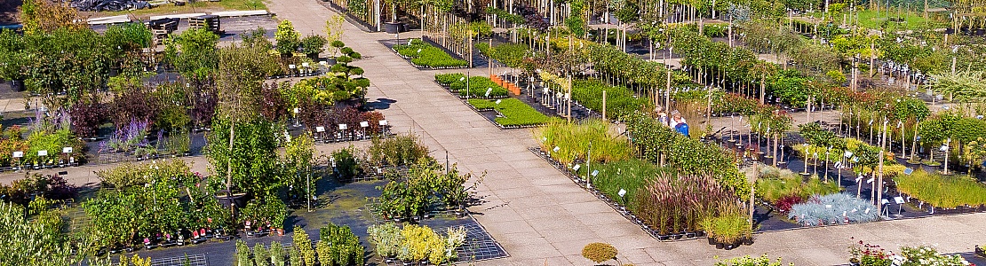 tuincentrum friesland